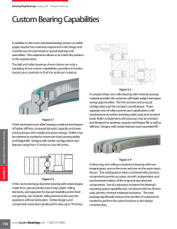 Custom Bearing Capabilities