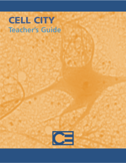 8262 Cell City TG