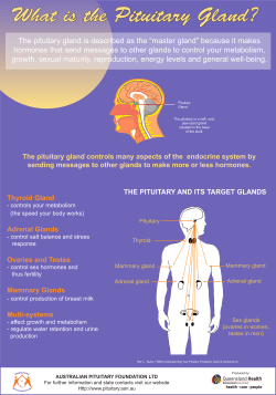 The pituitary gland is described as the &ldquo;master gland&rdquo; because it
