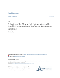 A Review of the Muscle Cell Cytoskeleton and Its Possible Relation