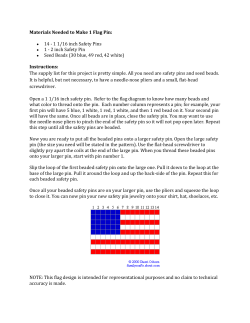 Materials Needed to Make 1 Flag Pin: 14