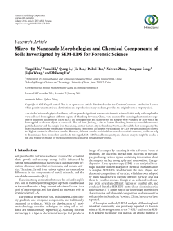 Micro-to Nanoscale Morphologies and Chemical Components of