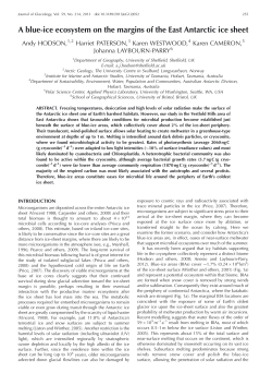 A blue-ice ecosystem on the margins of the East Antarctic ice sheet