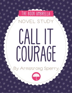 Call it Courage - The Book Umbrella Novel Studies
