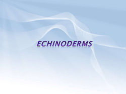 Echinoderms - Crestwood Local Schools
