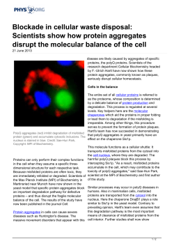 Blockade in cellular waste disposal: Scientists show how
