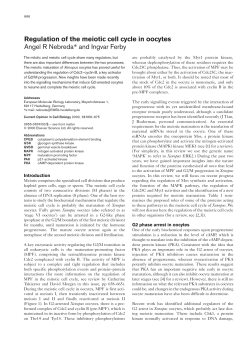 Regulation of the meiotic cell cycle in oocytes Angel R Nebreda