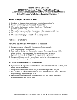 Key Concepts In Lesson Plan