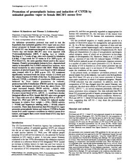 Promotion of preneoplastic lesions and induction of