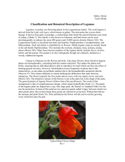 Classification and Botanical Description of Legumes