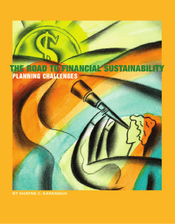 The Road to Financial Sustainability Planning Challenges