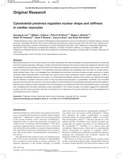 Cytoskeletal prestress regulates nuclear shape and stiffness in