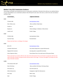 Mother`s Day 2012 Substitution Guidance