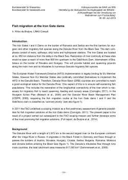 Fish migration at the Iron Gate dams