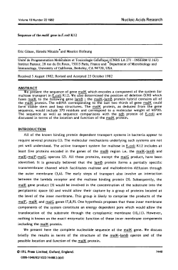 Sequence of the malK gene in E.coli Kl 2 Eric Gilson, Hiroshi