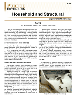 Household and Structural - Purdue Extension Entomology