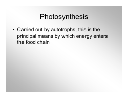 Photosynthesis