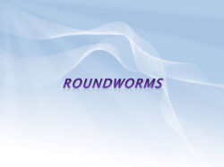 Roundworms - Crestwood Local Schools