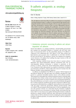 N-cadherin antagonists as oncology therapeutics