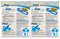 The Link&hellip; - Patz Corporation