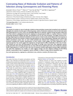 Article Contrasting rates of molecular evolution