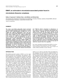 EMAP, an echinoderm microtubule-associated protein found in
