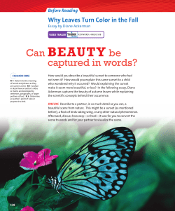 Why Leaves Turn Colors in the Fall
