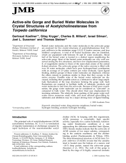 Active-site Gorge and Buried Water Molecules in Crystal Structures