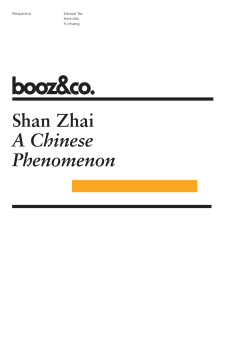 Shan Zhai A Chinese Phenomenon