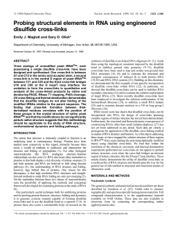 Probing structural elements in RNA using