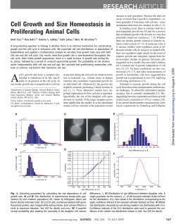 Cell Growth and Size Homeostasis in Proliferating Animal Cells