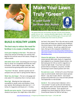 Make Your Lawn Truly &ldquo;Green&rdquo;
