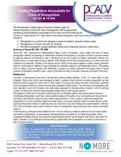 Holding Perpetrators Accountable for Crime of Strangulation