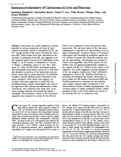 Immunocytochemistry of Calciosomes in Liver and Pancreas
