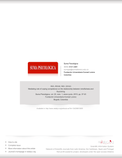 suma psicol&oacute;gica