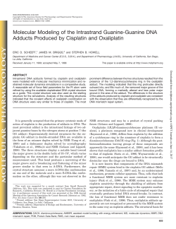 Molecular Modeling of the Intrastrand Guanine