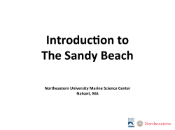 Introduc#on to The Sandy Beach