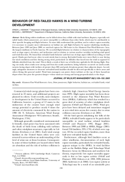 behavior of red-tailed hawks in a wind turbine development