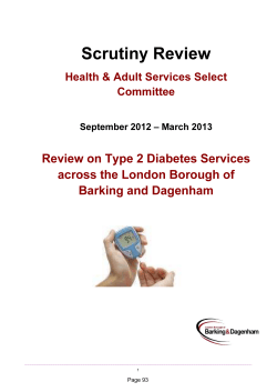 HASSC Type Diabetes Services Scrutiny 2013