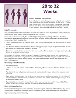 Pregnancy 28 to 32 Weeks