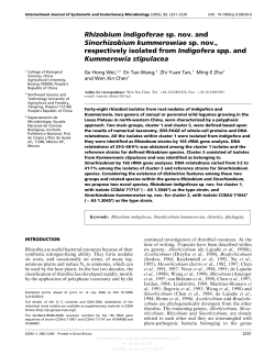 Rhizobium indigoferae sp. nov. and Sinorhizobium kummerowiae sp