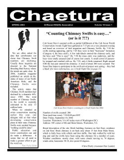 Counting Chimney Swifts is easy&hellip;