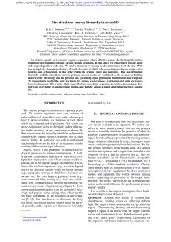 Size structures sensory hierarchy in ocean life