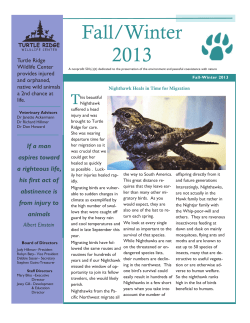 2013 Newsletter - Turtle Ridge Wildlife Center