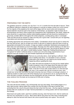 A GUIDE TO DONKEY FOALING PREPARING FOR THE BIRTH