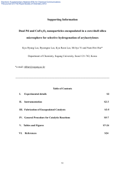 Dual Pd and CuFe2O4 nanoparticles encapsulated in a core/shell
