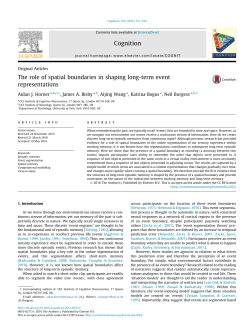 The role of spatial boundaries in shaping long