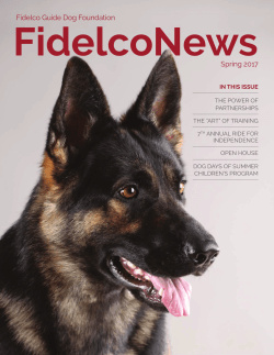 FidelcoNews - Fidelco Guide Dog Foundation