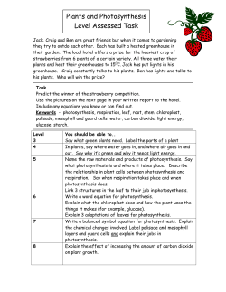 Plants and Photosynthesis Level Assessed Task