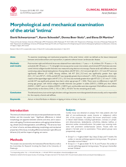 Morphological and mechanical examination of the atrial `intima`